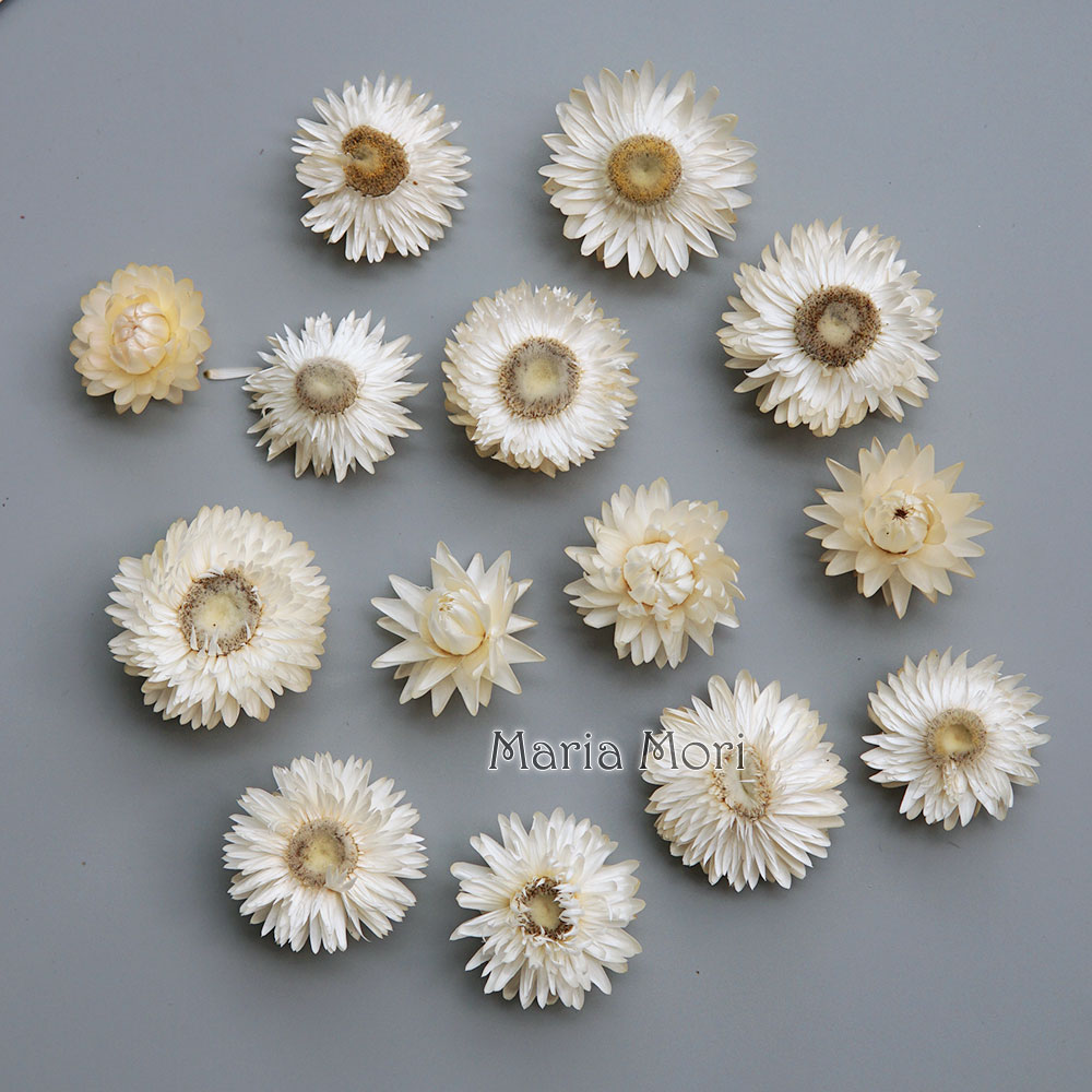 Natural Dried Colorful Chrysan - Candle Making Experience 评论和价格