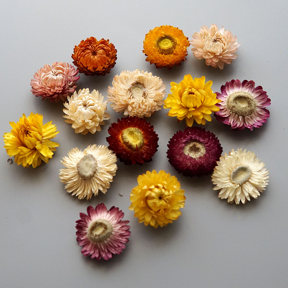 Natural Dried Colorful Chrysan - Candle Making Experience 评论和价格