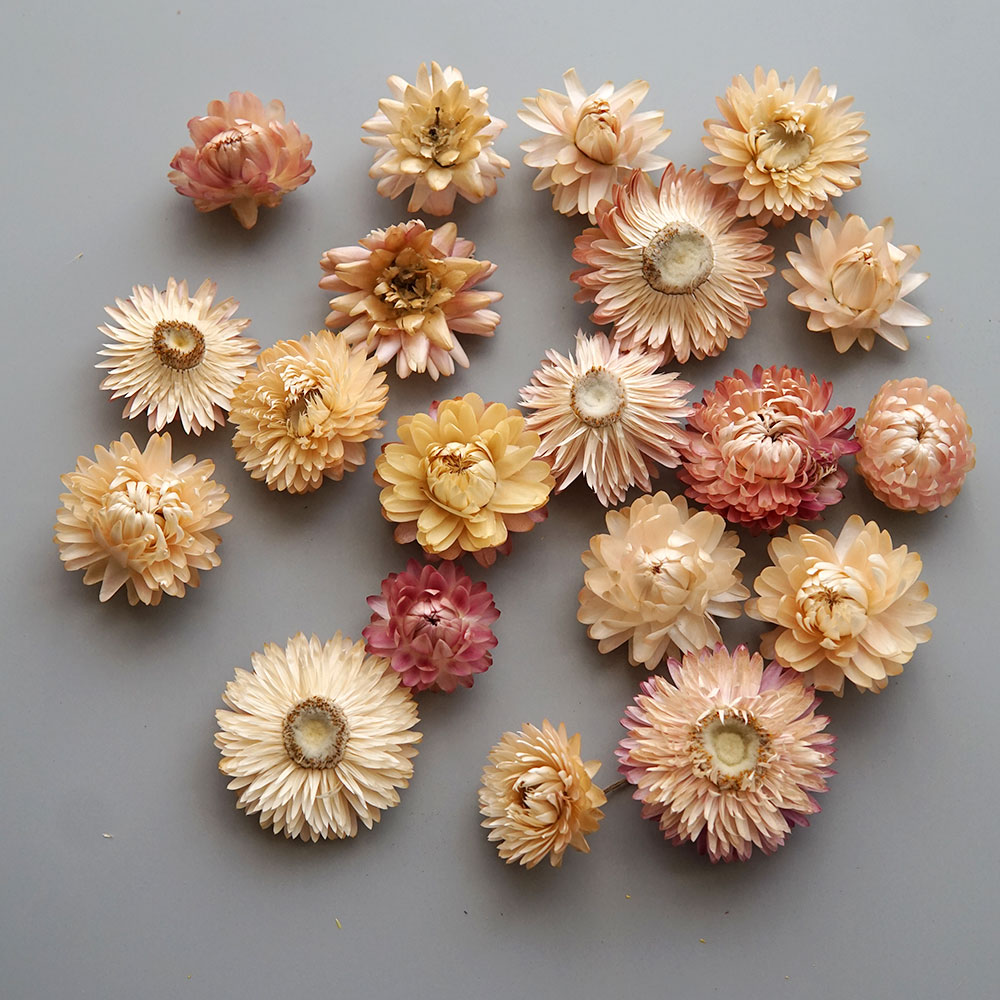 Natural Dried Colorful Chrysan - Candle Making Experience 评论和价格