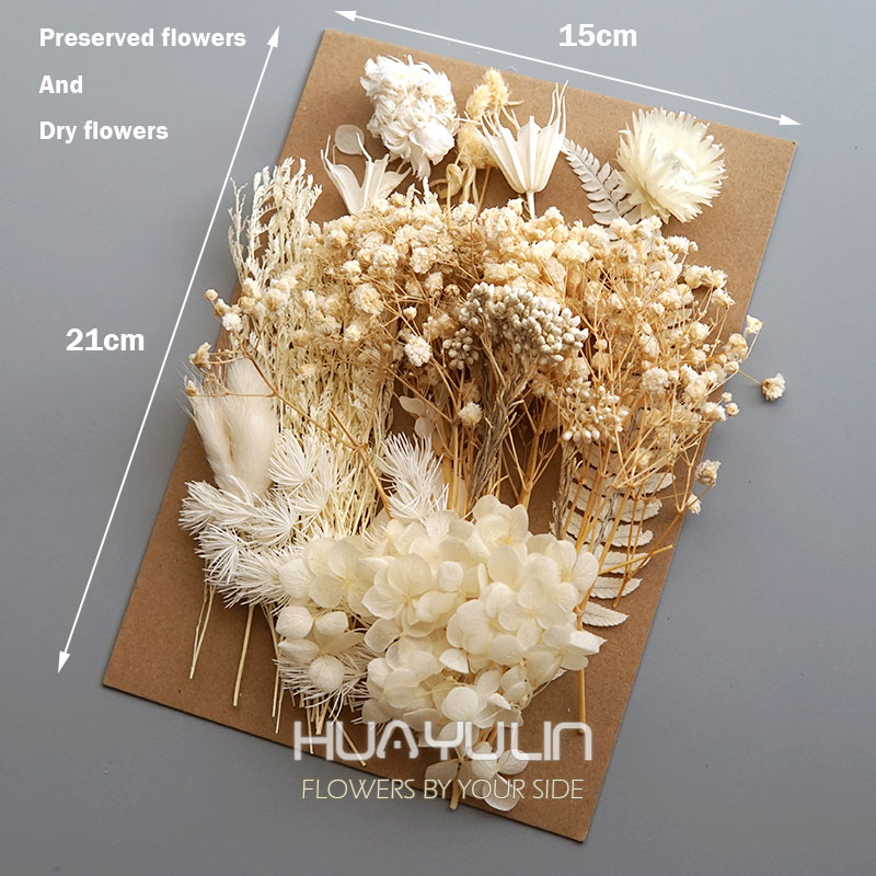1 Pack Artificial Plants Dried - Candle Making Experience 评论和价格